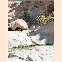 Sinai082 - Ein Nagila.jpg